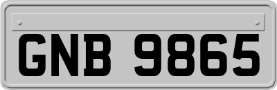 GNB9865