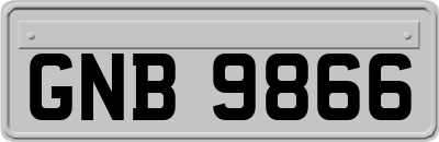 GNB9866