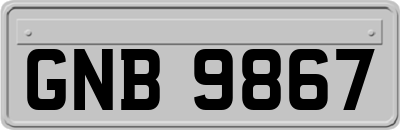 GNB9867