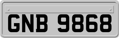 GNB9868