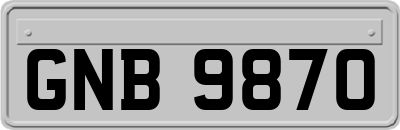 GNB9870