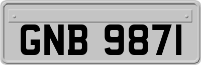 GNB9871
