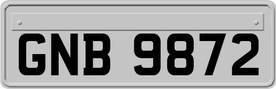 GNB9872
