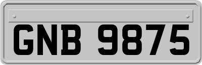 GNB9875