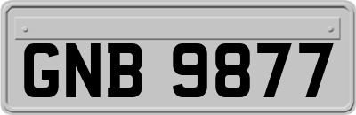 GNB9877