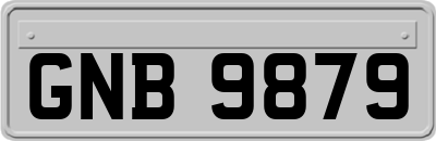 GNB9879