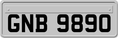 GNB9890