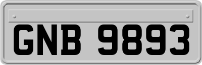 GNB9893