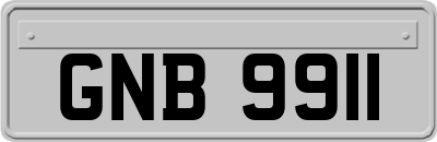GNB9911