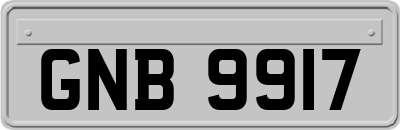 GNB9917