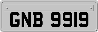 GNB9919