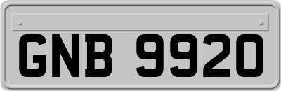 GNB9920