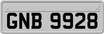 GNB9928