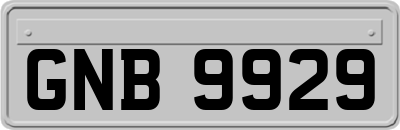 GNB9929