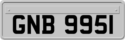 GNB9951