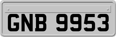 GNB9953