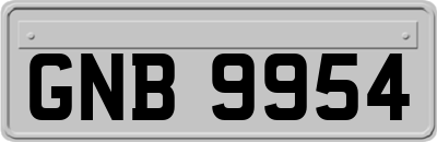GNB9954