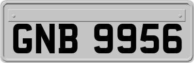 GNB9956
