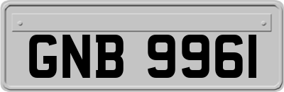 GNB9961