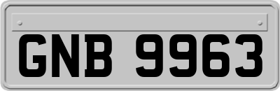 GNB9963