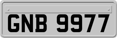 GNB9977