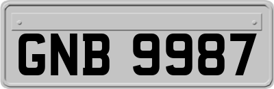 GNB9987
