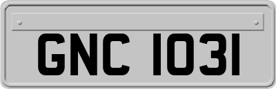 GNC1031
