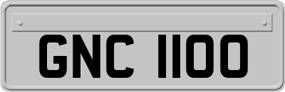 GNC1100
