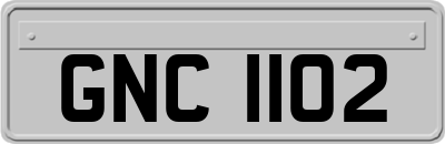 GNC1102