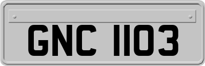 GNC1103