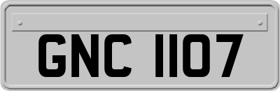 GNC1107