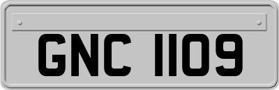 GNC1109