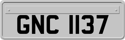 GNC1137