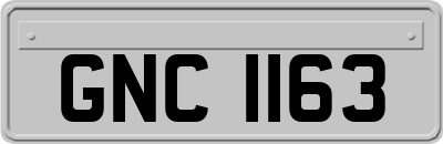 GNC1163