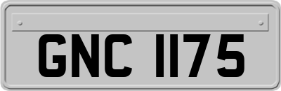 GNC1175