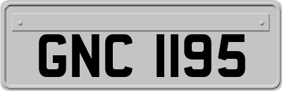GNC1195