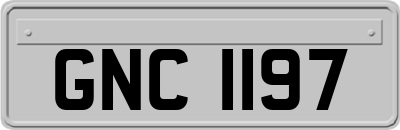 GNC1197