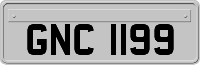 GNC1199