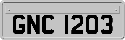 GNC1203