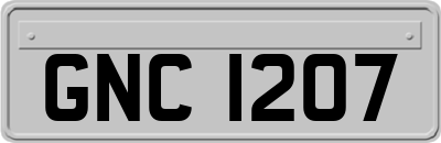 GNC1207