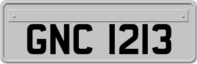 GNC1213