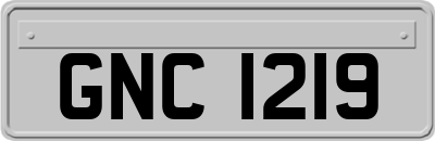 GNC1219