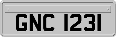 GNC1231