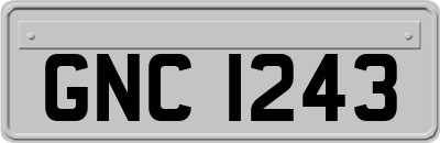 GNC1243