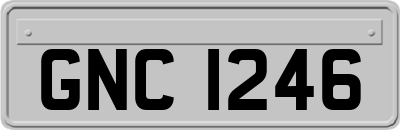 GNC1246