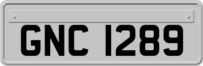 GNC1289