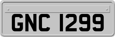 GNC1299