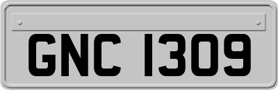 GNC1309