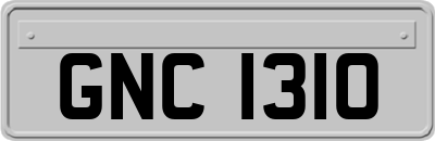 GNC1310