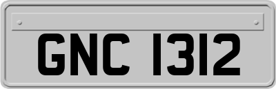 GNC1312